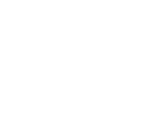 Logo belfem fondo blanco